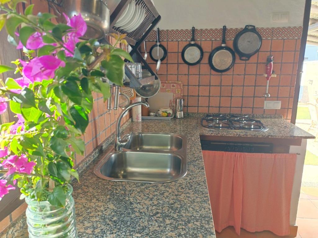 Nacarum 2 - Casa Monte - 4