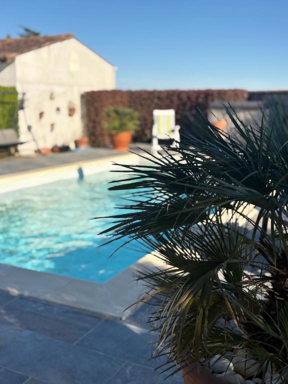 Chez Martine Arles piscine - 2