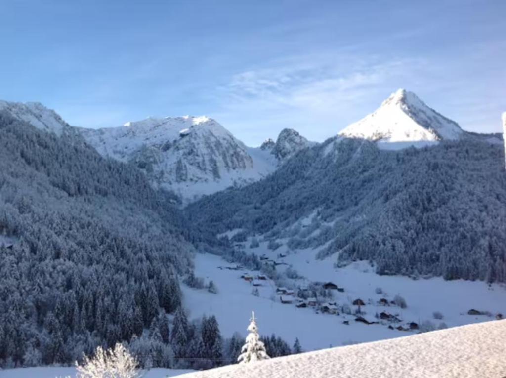 Chalet La Grangette - 5