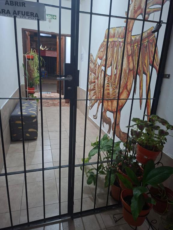 Hostal AMALAYA - 2