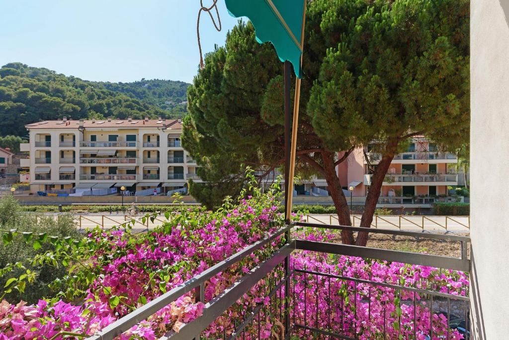 Bouganville vista mare - 1