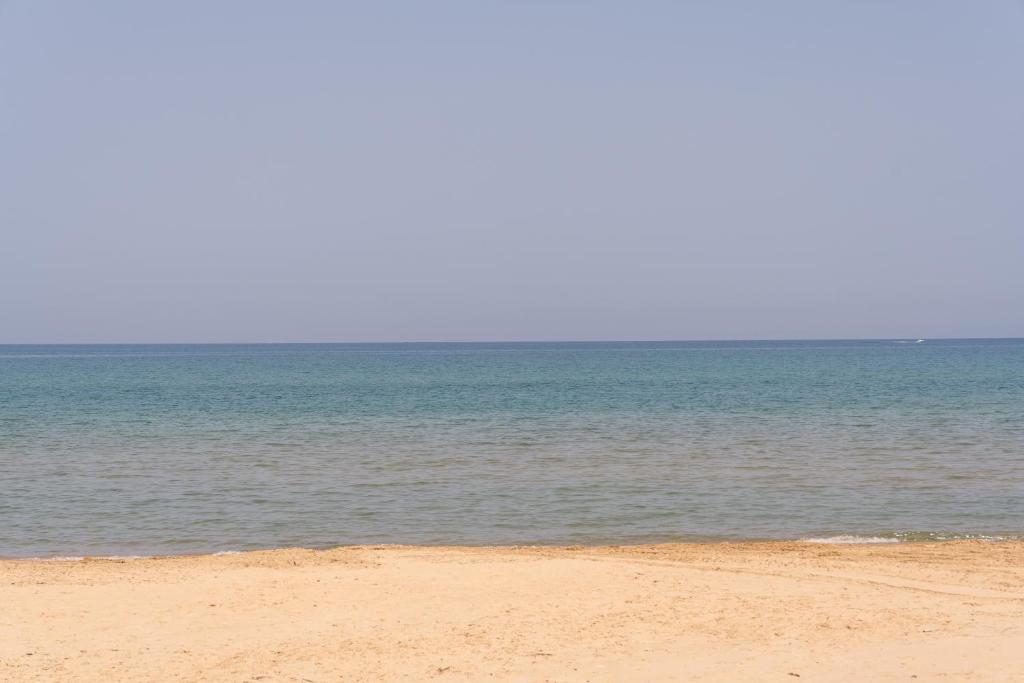 Sea Nest - 1