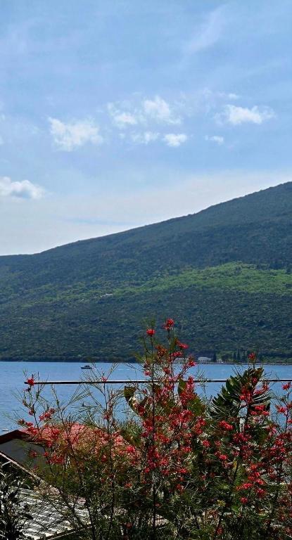 Blue Sea - 4