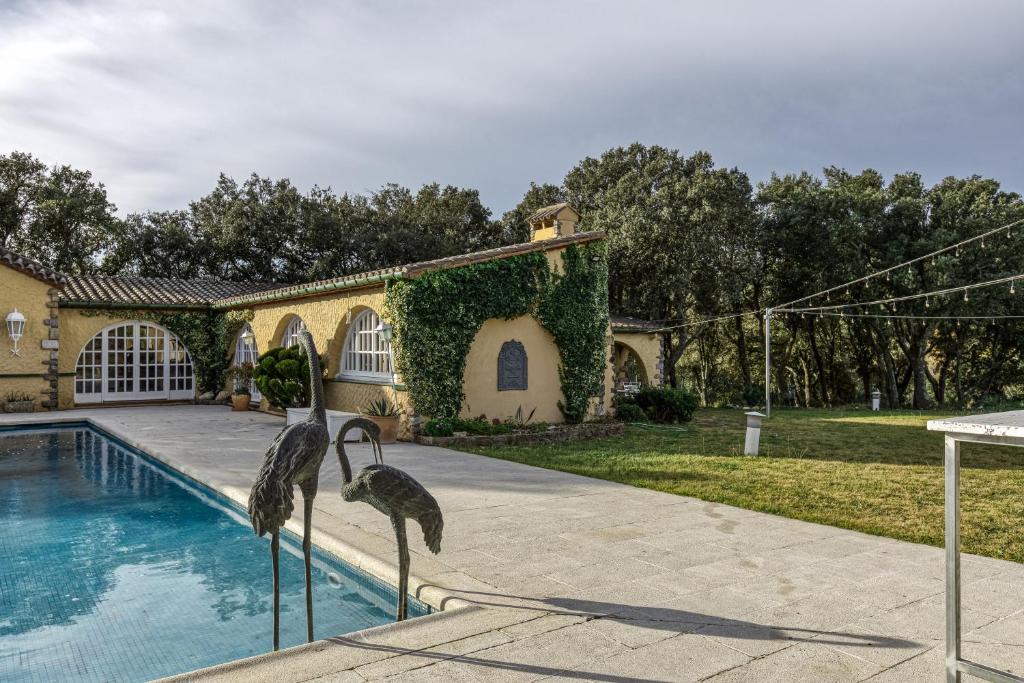 Bosque Apartamento - 3