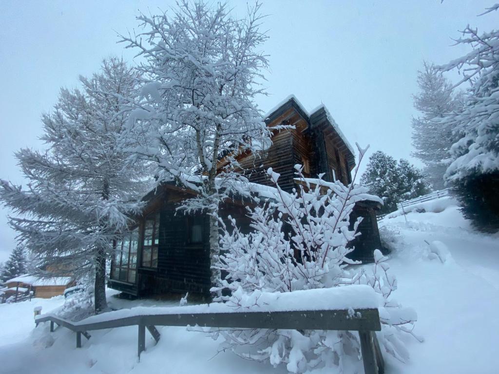 Marei Hütte - 2