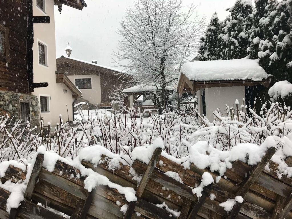 Geigerhaus 500 Jahre - Appt C - 5