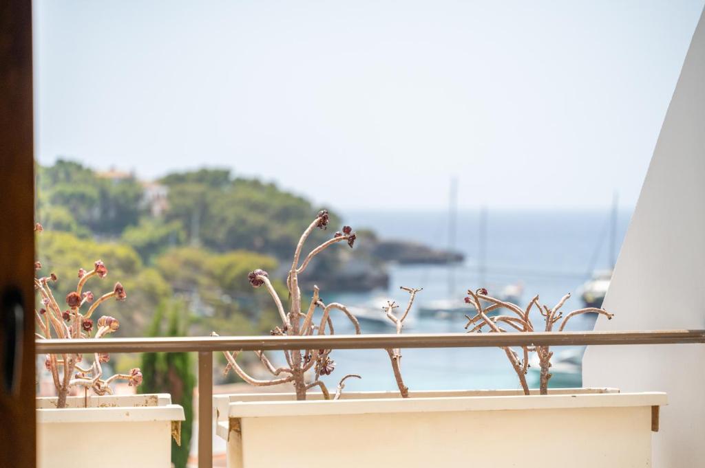 Apartamento Poseidonia - 2