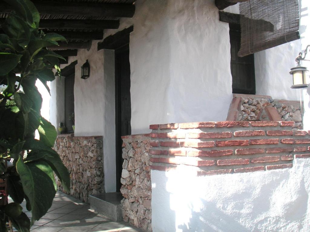 El Olivarillo - 3
