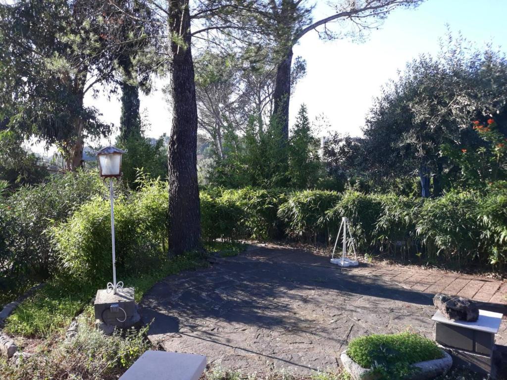 Maison de vacance - Frejus - 5