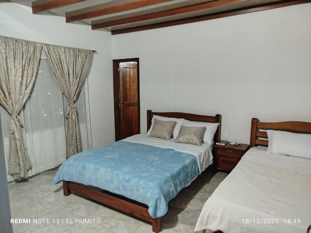 Villa ceiba - 4