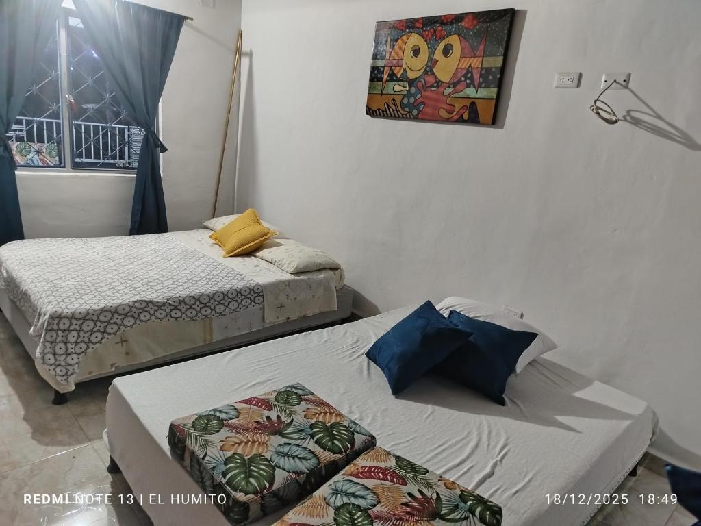 Villa ceiba - 5