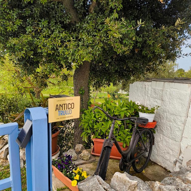 Antico trullo immerso nella campagna - 2
