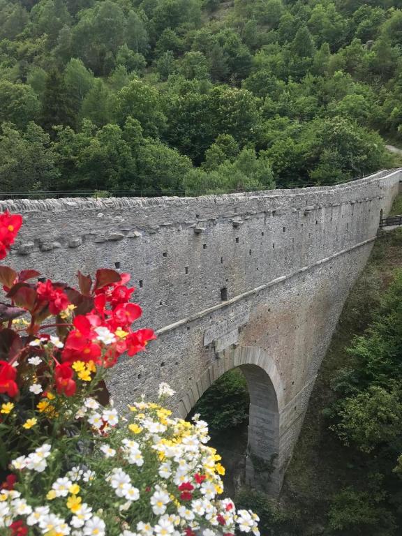 Appartamenti Grivola - 2