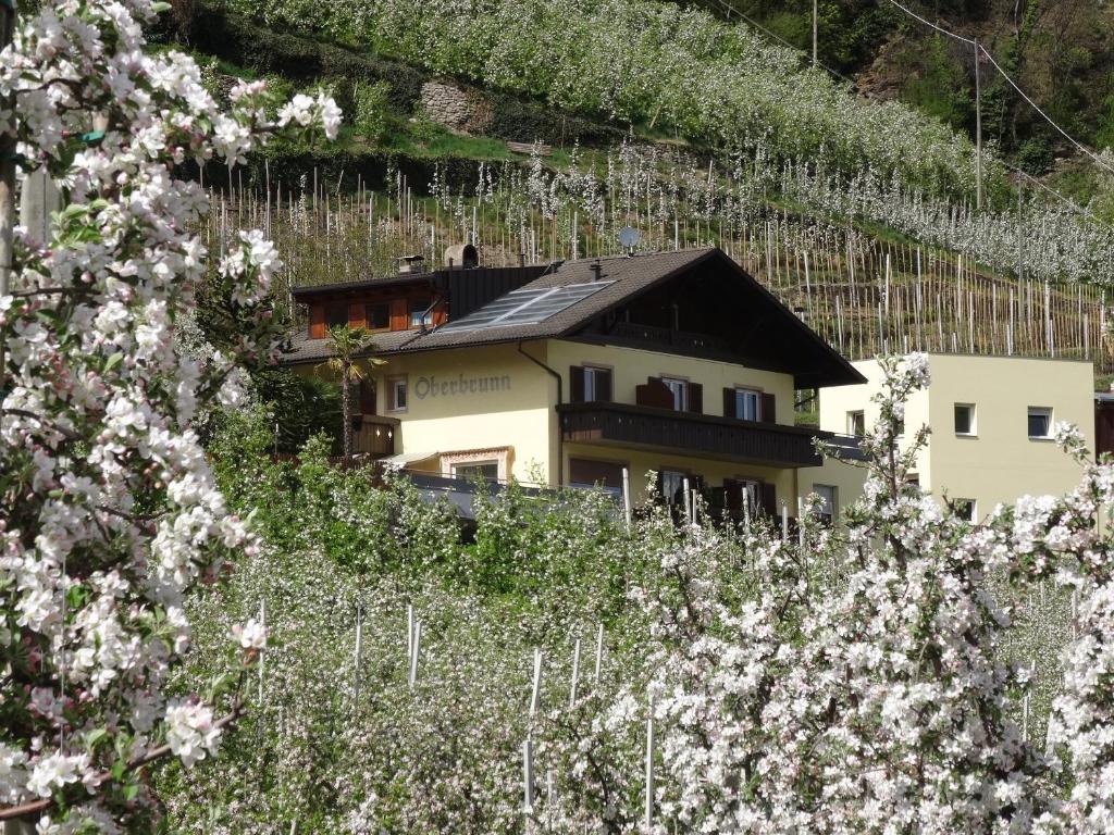 Ferienwohnungen Oberbrunnhof - 2