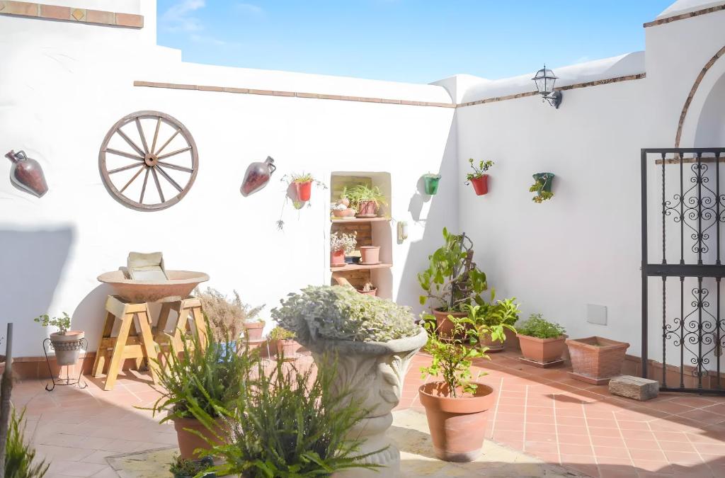 Cartuja Rural - 2