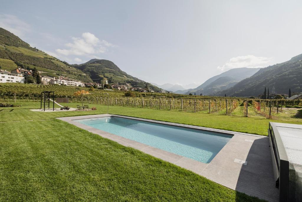 Trianglhof surrounded by vineyards - 5