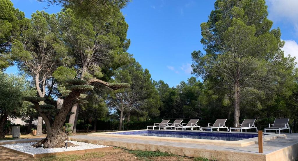 CANLEPEZ Villa avec piscine privée 8 personnes - 5