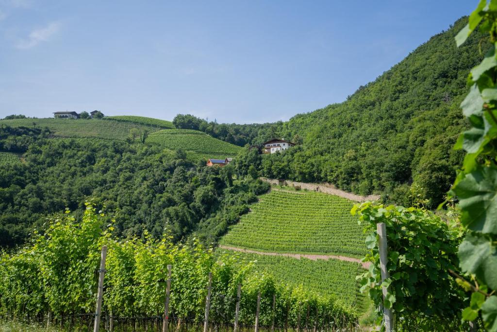 Prackfolerhof - 3