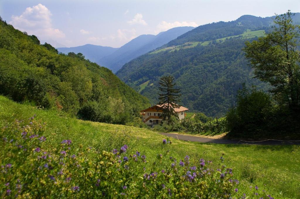 Prackfolerhof - 2