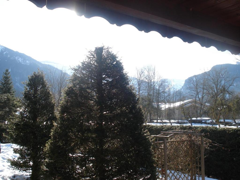 Petit Chalet de charme - 5