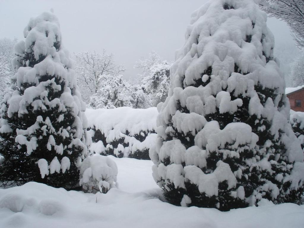Petit Chalet de charme - 3