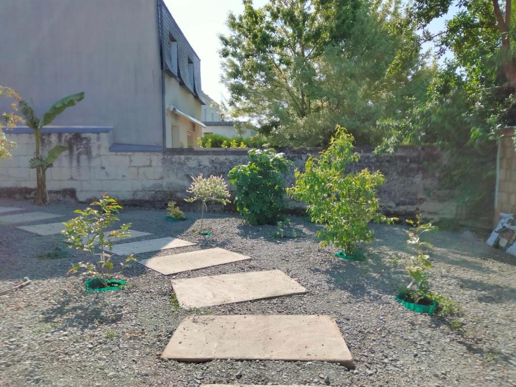 Maison avec jardin arboré - 2
