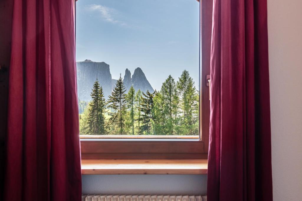 Sabina Dolomites Latsche - 2