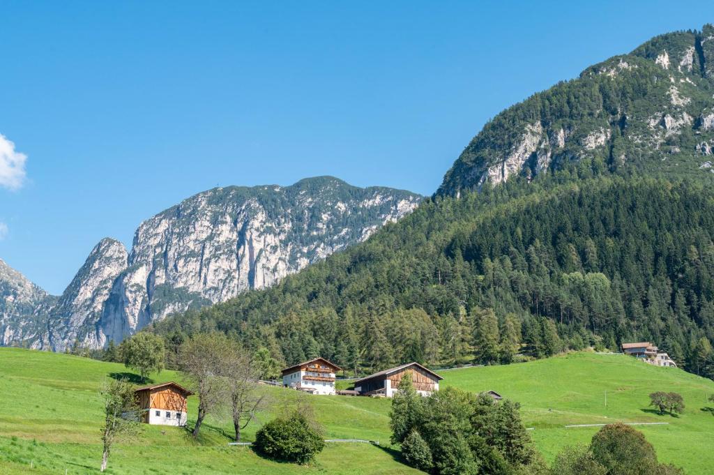 Mongaduierhof Apt Tschafon - 5