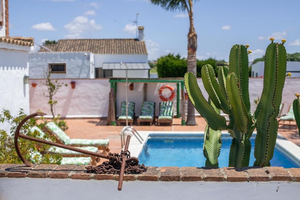 Apartamento Villa Mayo B - 1