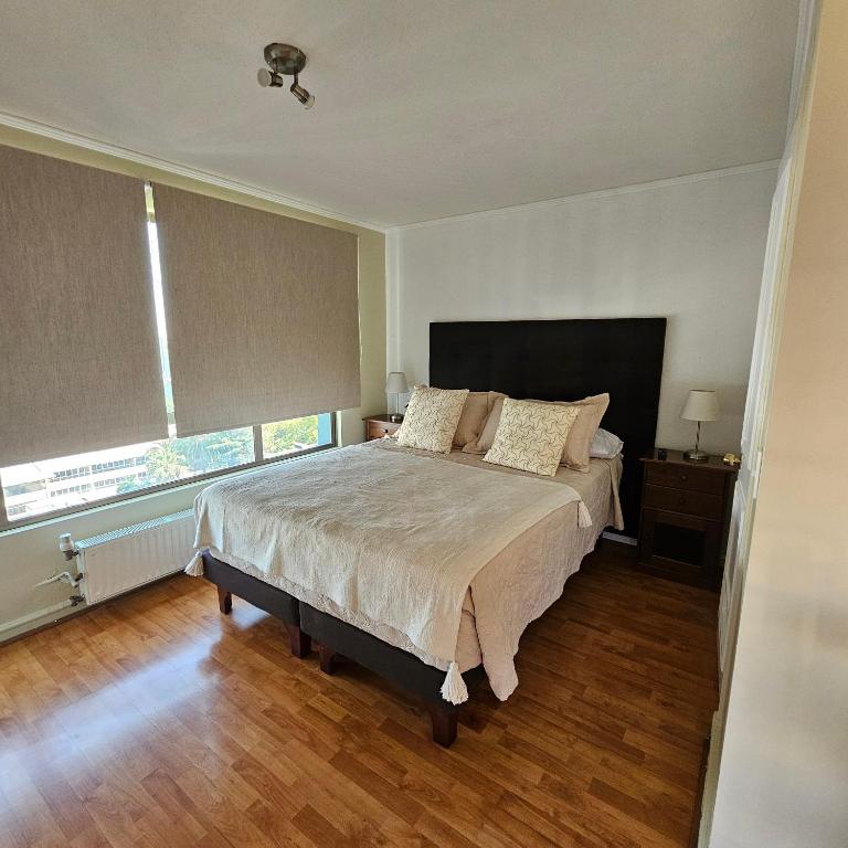 Apartamento en stgo 20 - 1