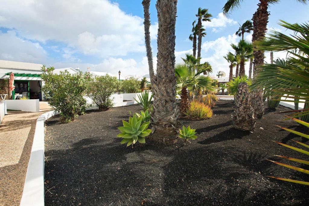 Jardin del Sol 22 - 3