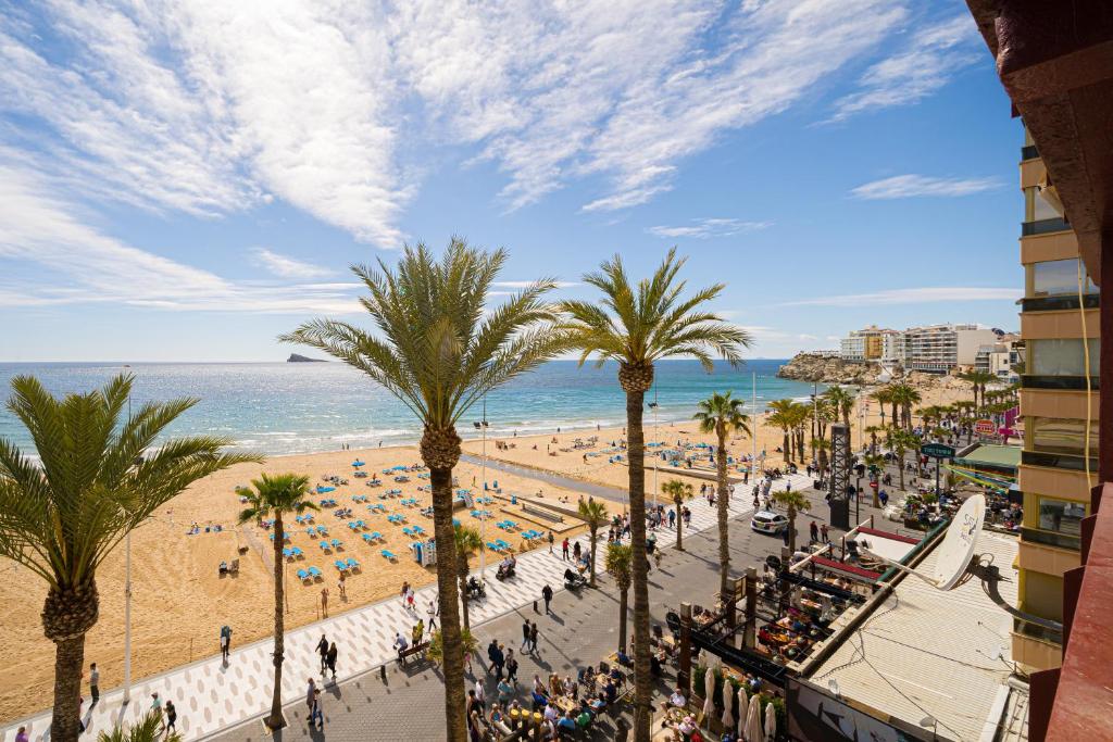 Wg2 Benidorm - 3