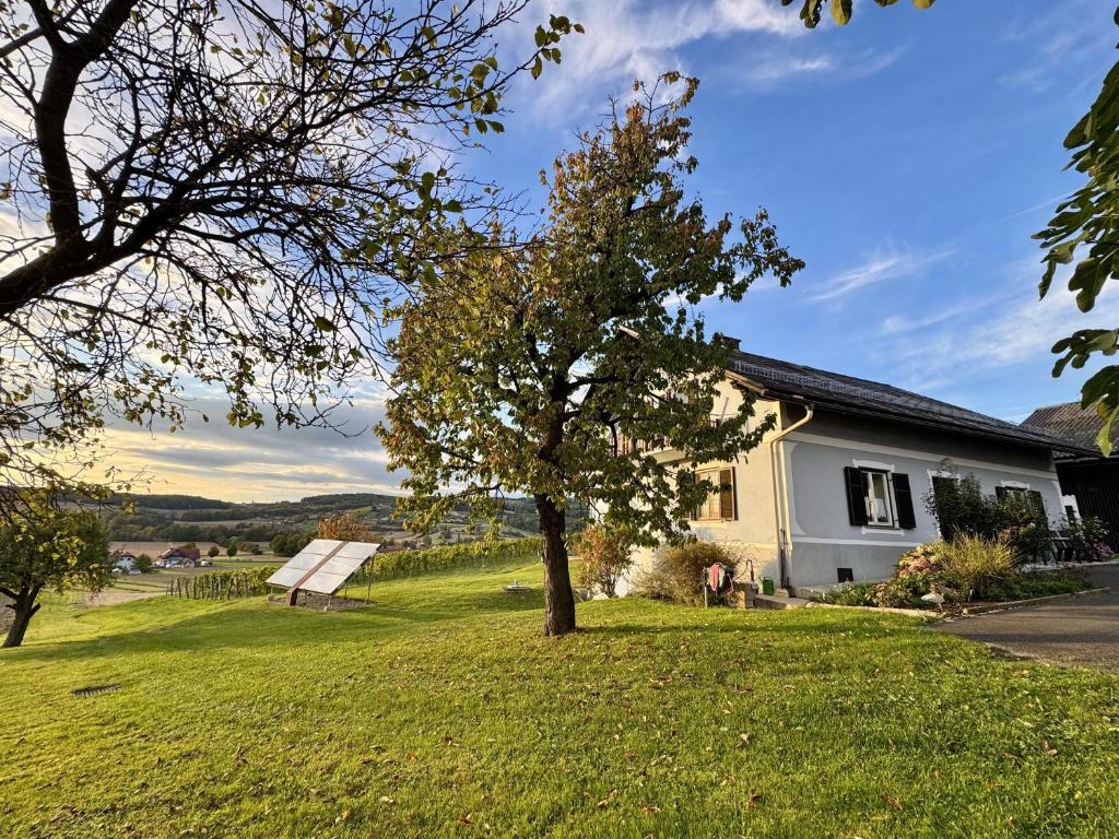 Ferienhaus "Kleine Auszeit" - 5