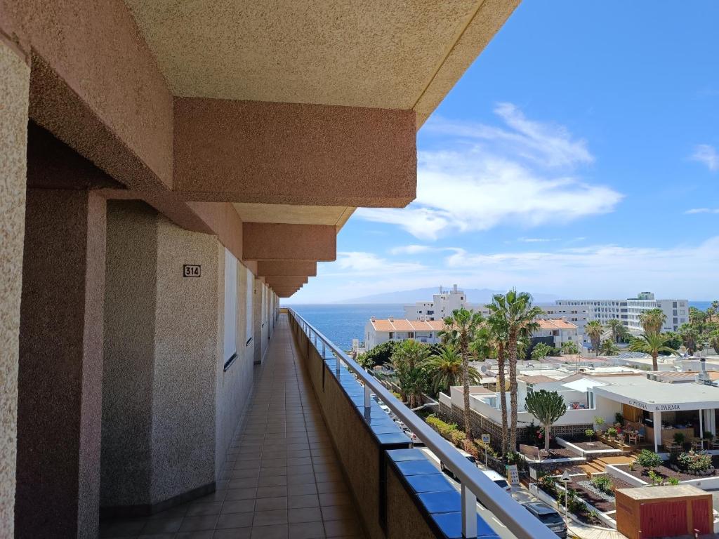 1 Bedroom Apartment Aquaviva - 3
