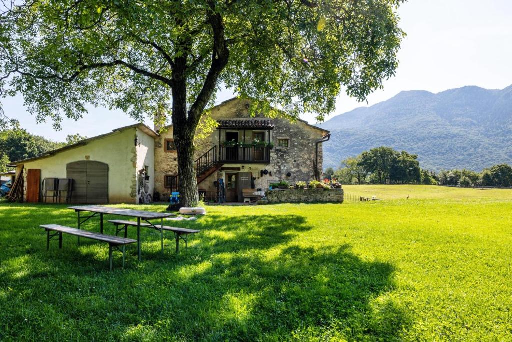 Agriturismo Malga Riondera - 1
