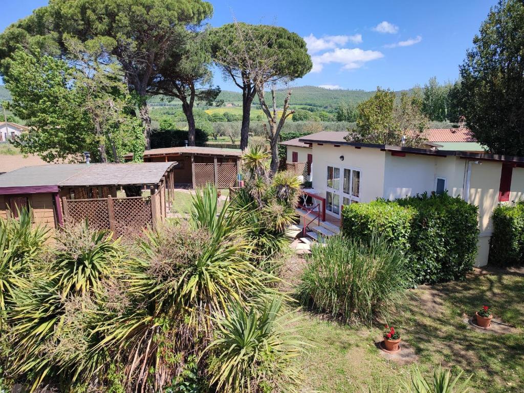Camping Massimo - 2