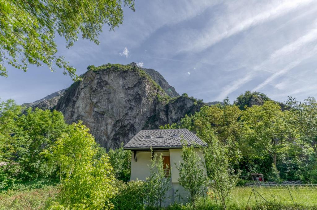 Les Lys Orangés - 2