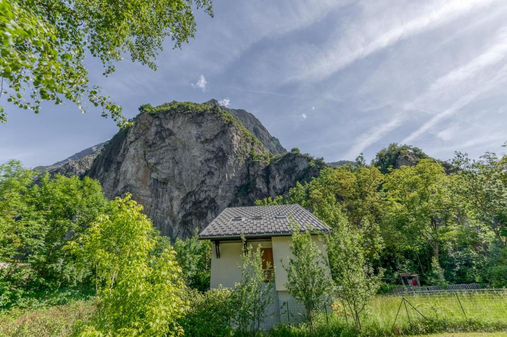 Les Lys Orangés - 3