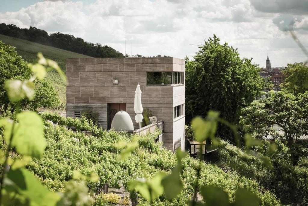 Gästehaus im Weingut am Stein - 2