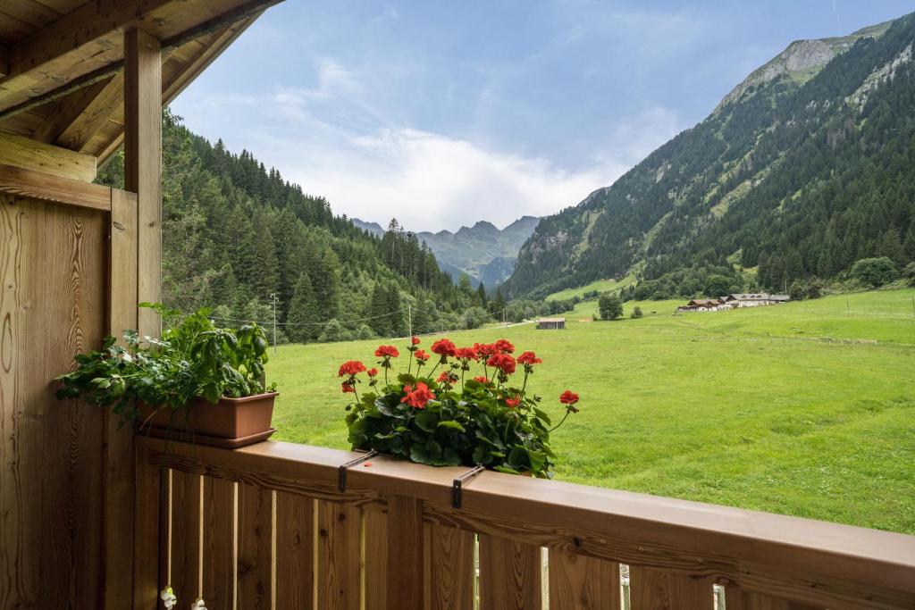 Ferienhaus Larch Soge Apt Helmuth - 2