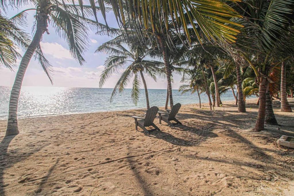 Beachfront home with private heated pool jacuzzi sauna ocean views & AC - 7th Heaven - 5