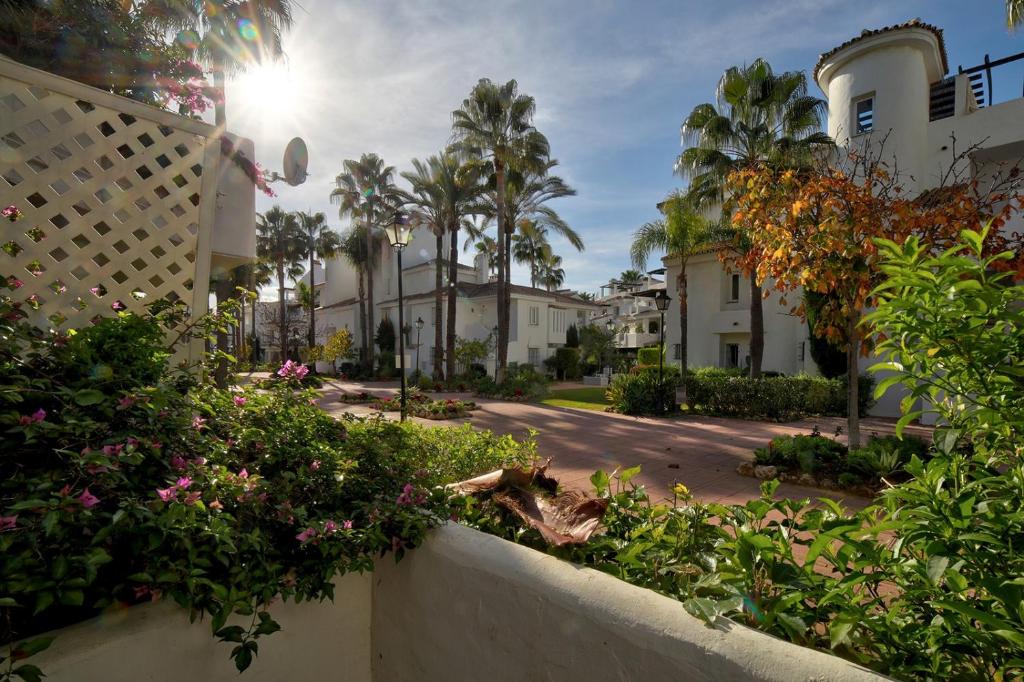 Beautiful Spacious 3 Bedroom Apart - 2