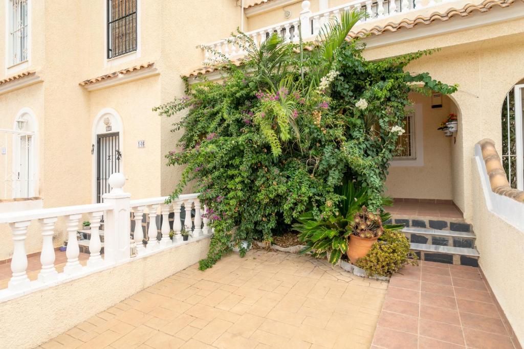 Bungalow 145 - 2