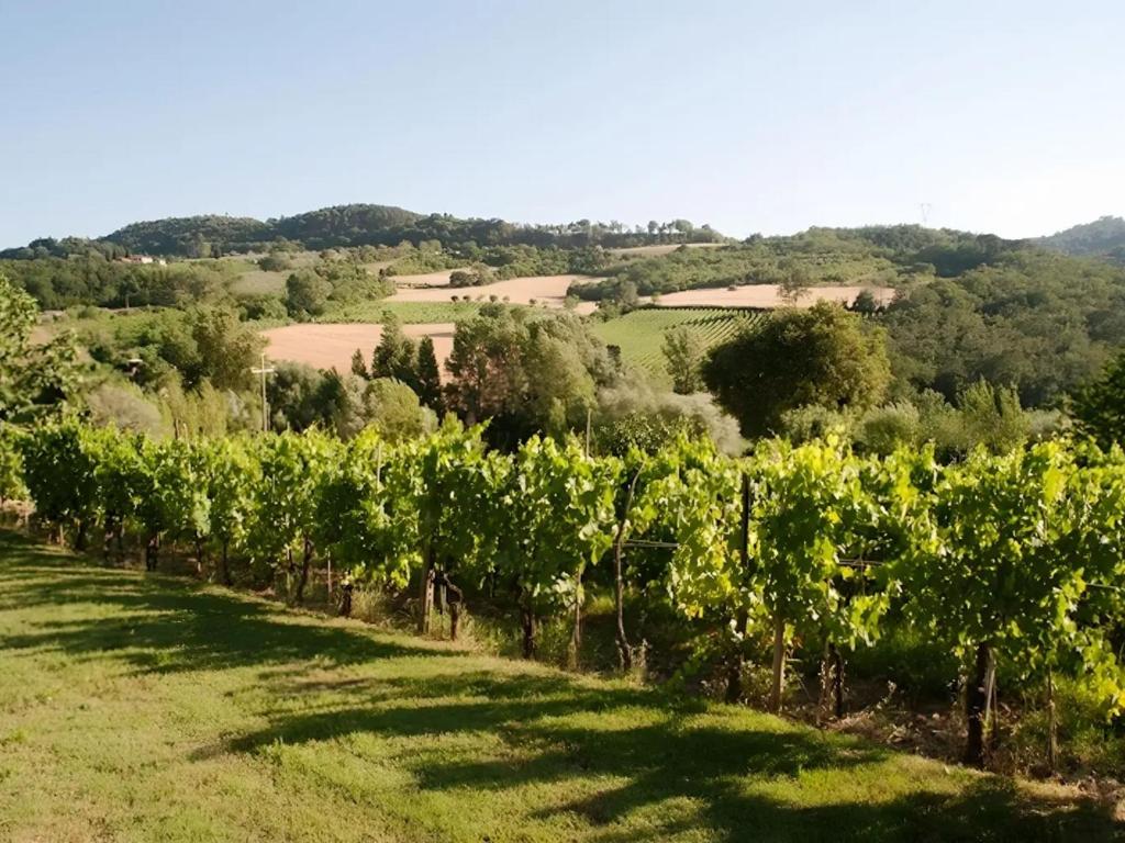 Casa Vacanze I Borghi - 5