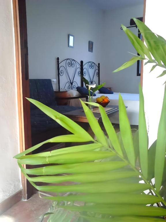 Casa Rural El Cubillo - 3