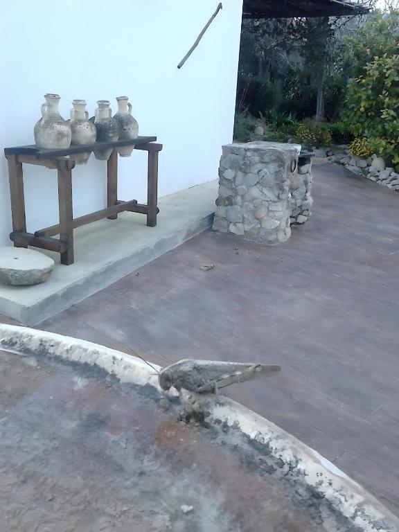 Casa Rural El Cubillo - 4