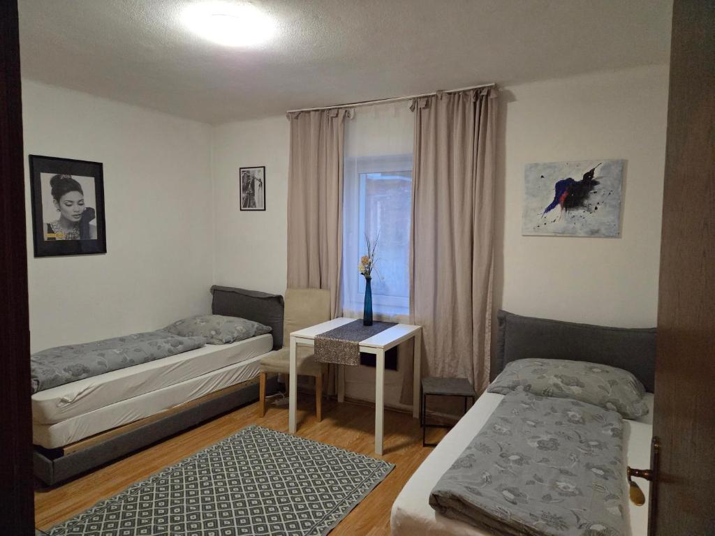 Maya's Easy Apartment Graz - 3