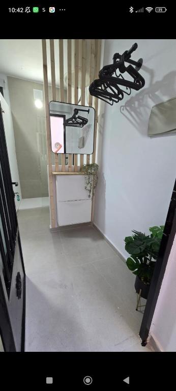 Estudio - 3
