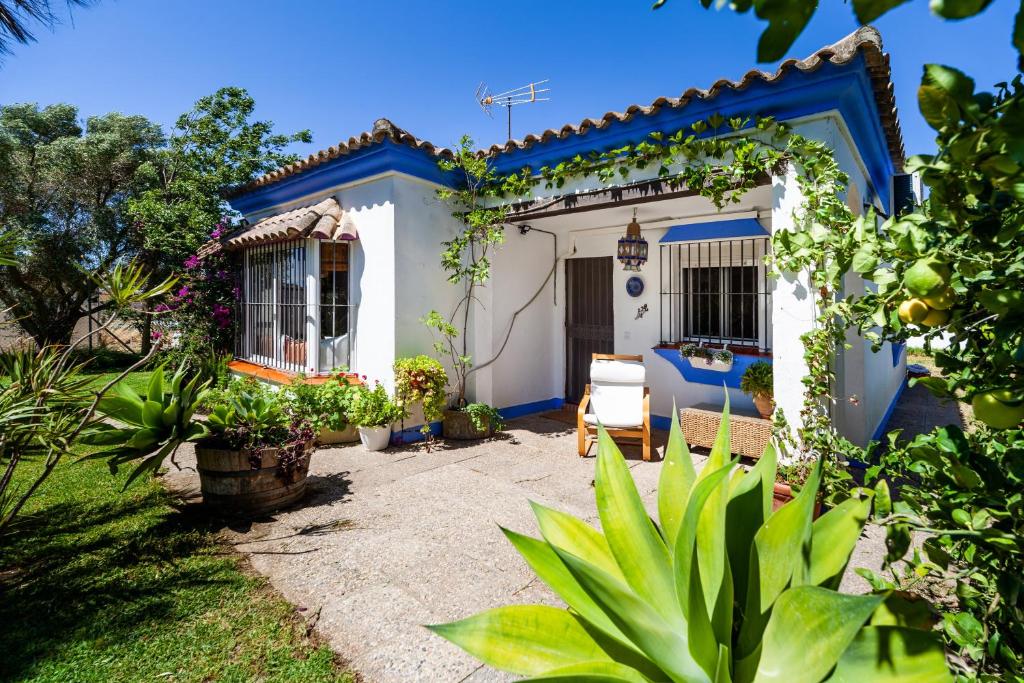 Chalet Diferente - 1