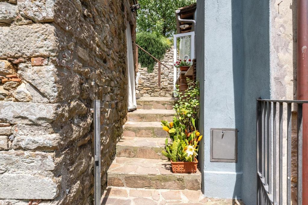 Casa del Rio - 5